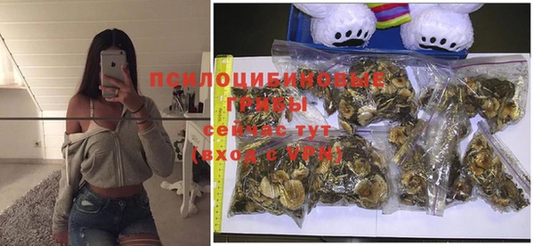 ГАЛЛЮЦИНОГЕННЫЕ ГРИБЫ Кинешма
