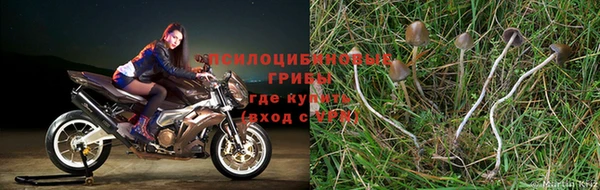 мдма Киренск