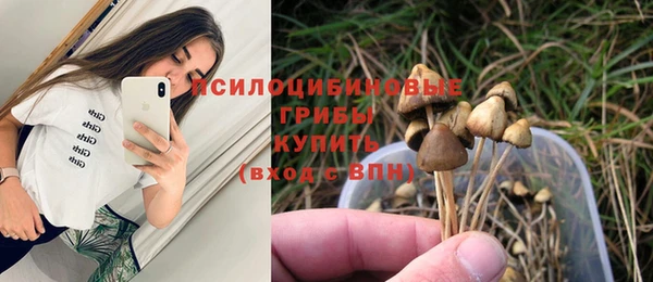 ГАЛЛЮЦИНОГЕННЫЕ ГРИБЫ Кинешма